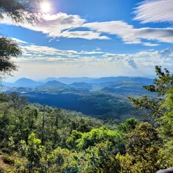 Volcán Pacaya - Escuintla