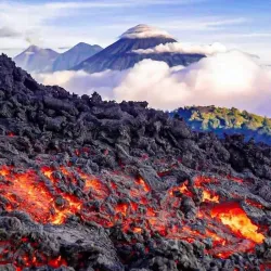Volcán Pacaya - Escuintla