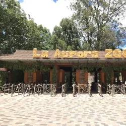La Aurora Zoo (Zoológico La Aurora) - Guatemala City
