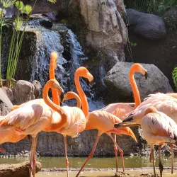 La Aurora Zoo (Zoológico La Aurora) - Guatemala City