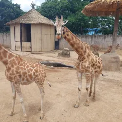 La Aurora Zoo (Zoológico La Aurora) - Guatemala City