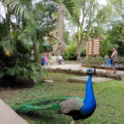 La Aurora Zoo (Zoológico La Aurora) - Guatemala City