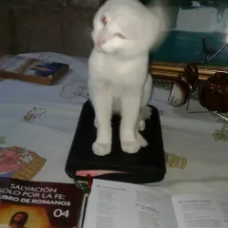 Centro Cultural La Democracia - Quetzaltenango