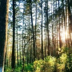 Parque Ixbalanque - Quetzaltenango