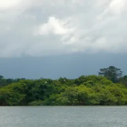 El Golfete Lake - Rio Dulce
