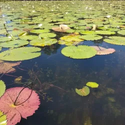 El Golfete Lake - Rio Dulce