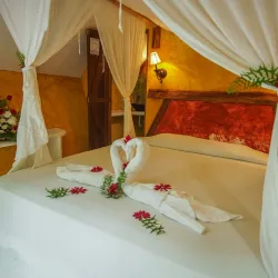 Hot Springs of Rio Dulce - Rio Dulce