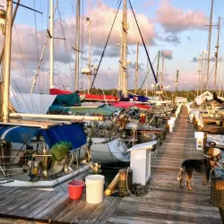 Monkey River - Rio Dulce