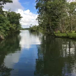 Monkey River - Rio Dulce