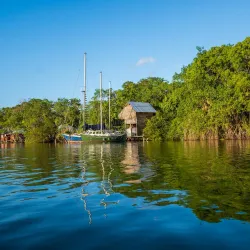 Monkey River - Rio Dulce