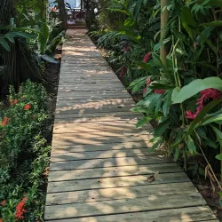 Monkey River - Rio Dulce