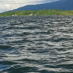 Monkey River - Rio Dulce