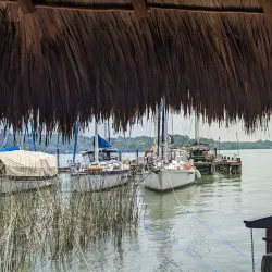 Monkey River - Rio Dulce