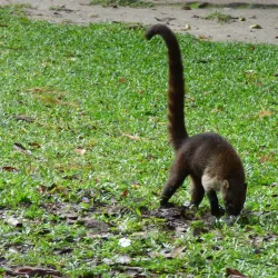 Archaeological Sites - San Cristobal