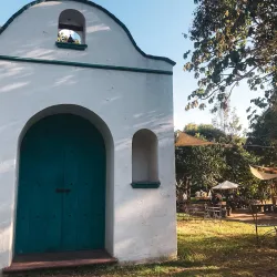 Local Coffee Plantations - San Cristobal