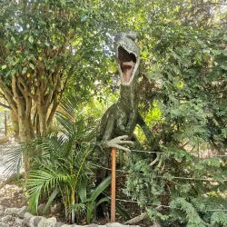 Local Cuisine Restaurants - San Cristobal