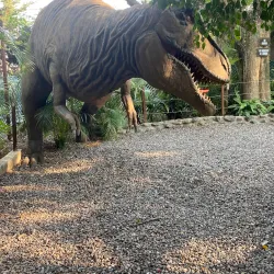 Local Cuisine Restaurants - San Cristobal