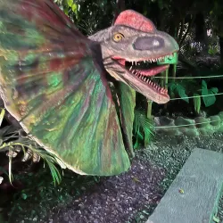 Local Cuisine Restaurants - San Cristobal