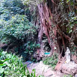 Natural Reserve Trails - San Cristobal