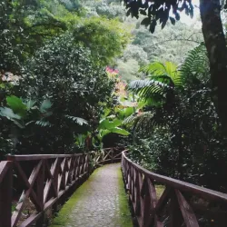 Natural Reserve Trails - San Cristobal