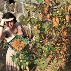 Traditional Weaving Workshops - San Cristobal