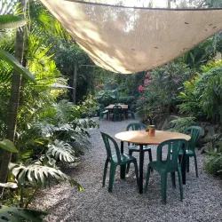 Coffee Plantations - San Miguel Dueñas