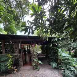 Coffee Plantations - San Miguel Dueñas