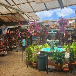 Local Market - San Miguel Dueñas