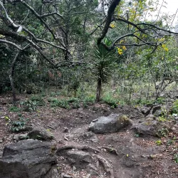 Natural Trails and Waterfalls - San Miguel Dueñas