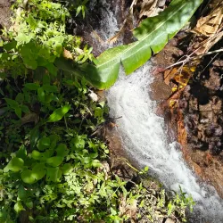 Natural Trails and Waterfalls - San Miguel Dueñas