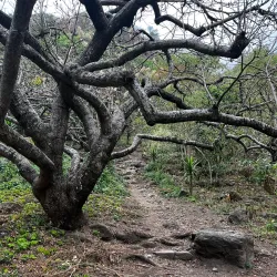 Natural Trails and Waterfalls - San Miguel Dueñas