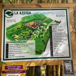 Coffee Plantations Tours - Santa Lucía Milpas Altas