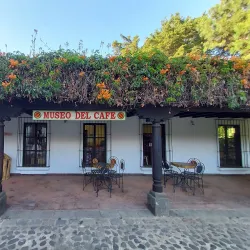 Coffee Plantations Tours - Santa Lucía Milpas Altas