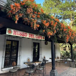 Coffee Plantations Tours - Santa Lucía Milpas Altas