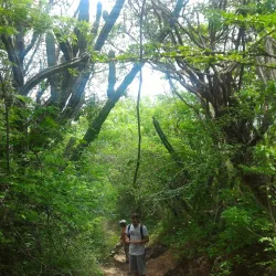 Cerro Miramundo National Park - Santa Rosa