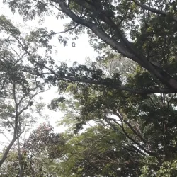 Cuilapa - Santa Rosa