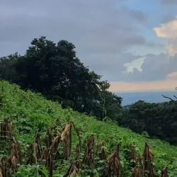 Guazacapán - Santa Rosa