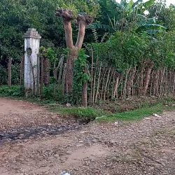 Guazacapán - Santa Rosa