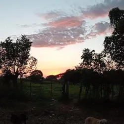 Guazacapán - Santa Rosa