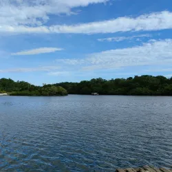 La Arada - Santa Rosa