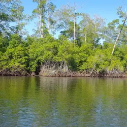 La Arada - Santa Rosa