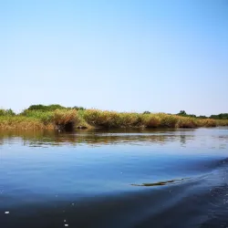 Monterrico Beach (nearby) - Santa Rosa