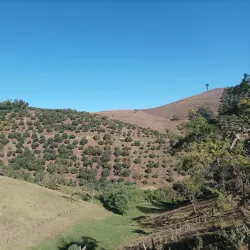 San Rafael Las Flores - Santa Rosa