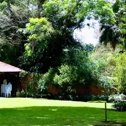 Coffee Plantations of Villa Canales - Villa Canales