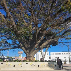 Parque Central de Villa Lobos - Villa Nueva