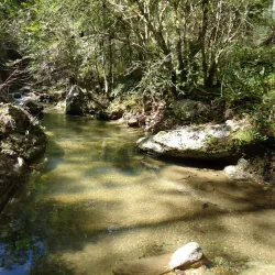 Cerro de las Minas - Zacapa