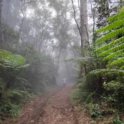 Cerro de las Minas - Zacapa