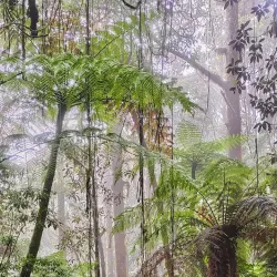 Cerro de las Minas - Zacapa