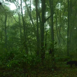 Cerro de las Minas - Zacapa
