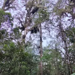 Cerro de las Minas - Zacapa